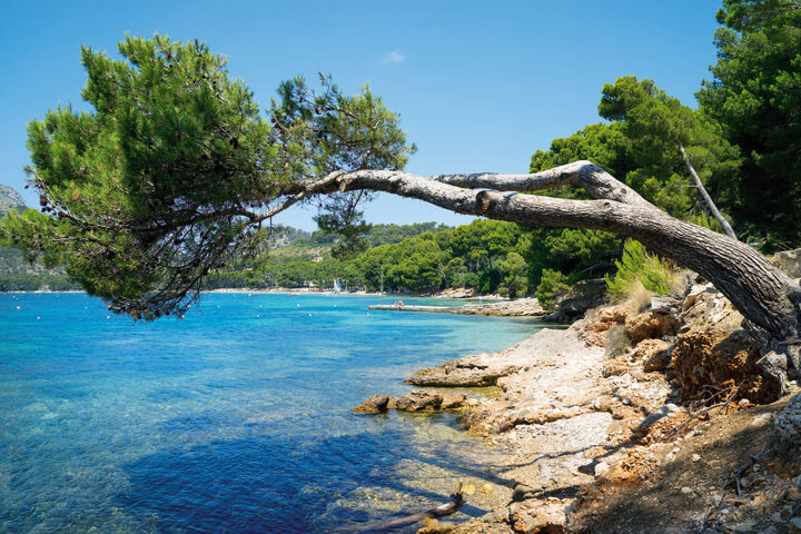 Mallorca Tour Experience